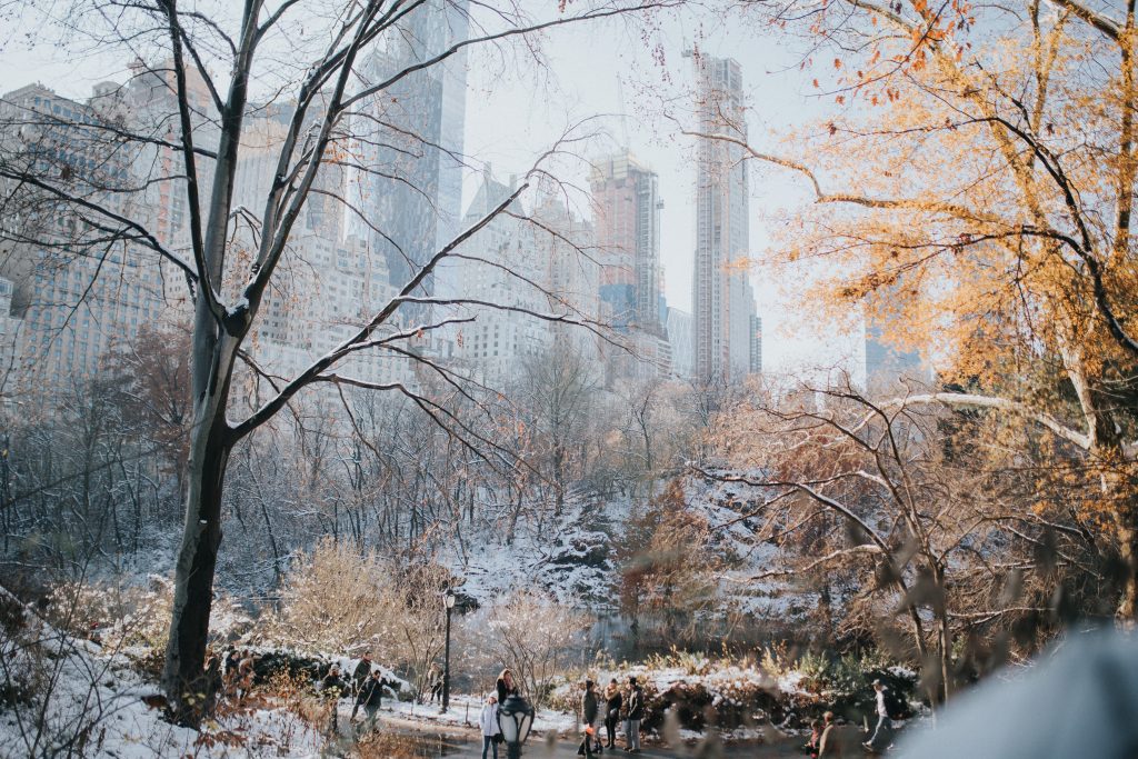 Desvendando o Estilo de Vida em Nova York: Uma Imersão na Big Apple | Solange Isaacs