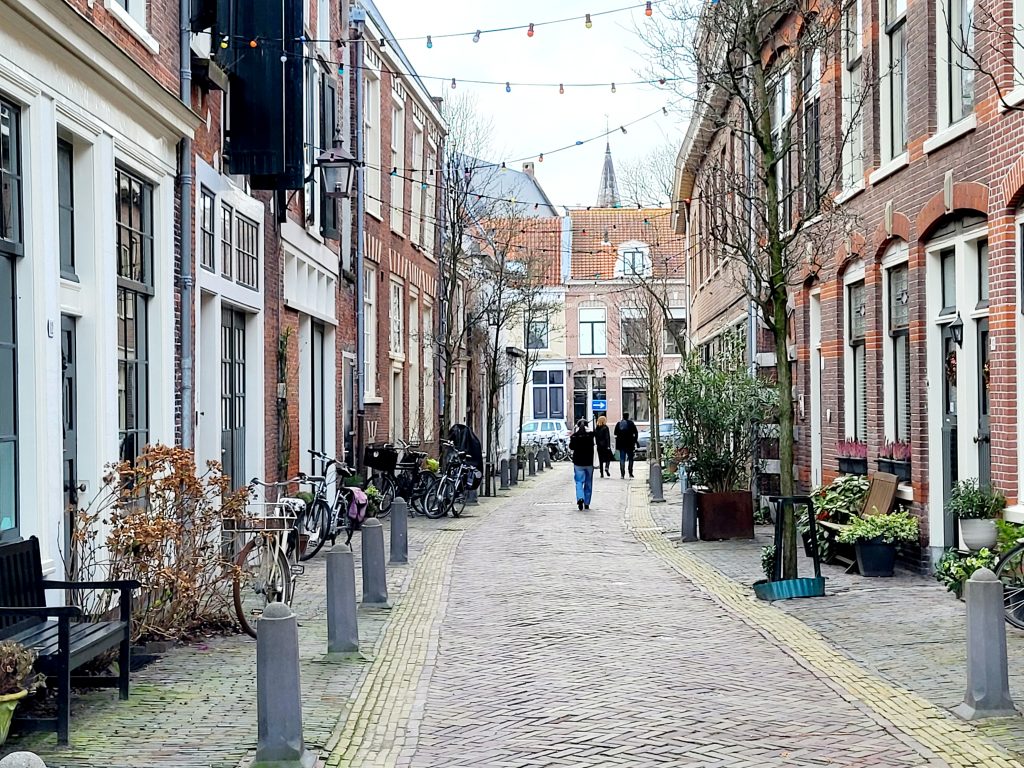 Getting to Know Haarlem | Solange Isaacs