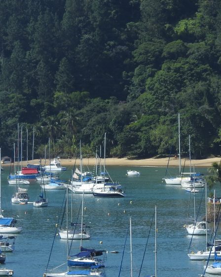 Imagem de uma marina pitoresca com barcos ancorados, representando o espírito de viagem e descoberta do site "Here, There, And Everywhere".