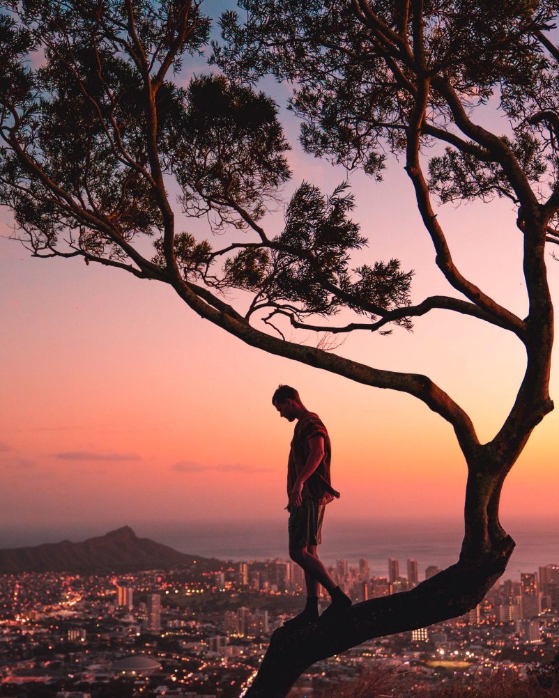 Man Walking Down from Tree at Sunset, Symbolizing Breaking Boundaries and Embracing Personal Growth.