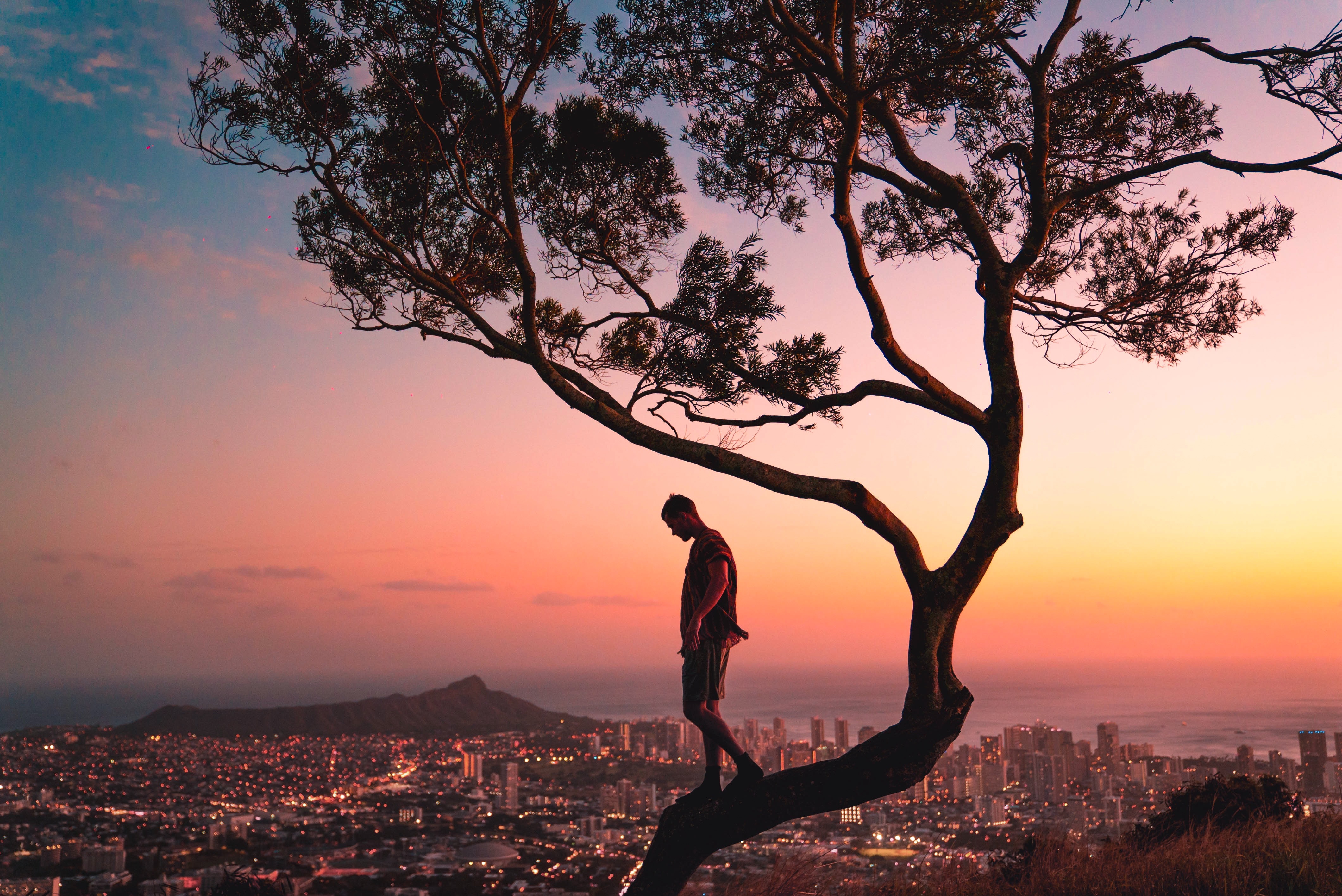 Man Walking Down from Tree at Sunset, Symbolizing Breaking Boundaries and Embracing Personal Growth.