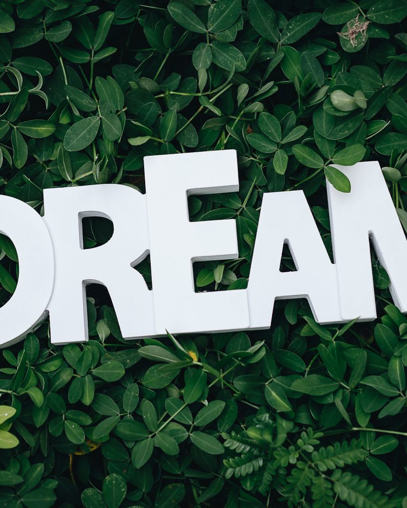 A beautifully crafted sign for 'dream,' inspiring viewers to pursue their aspirations.