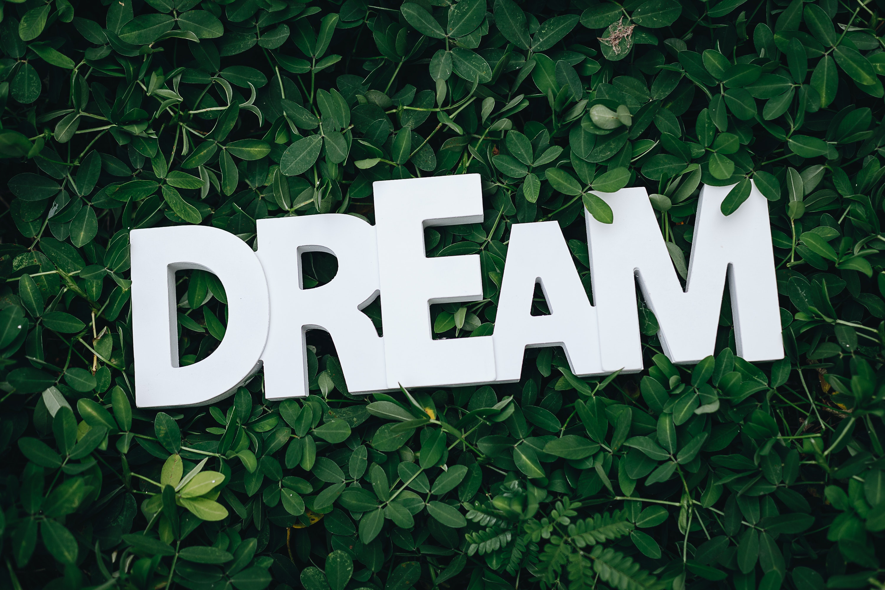 A beautifully crafted sign for 'dream,' inspiring viewers to pursue their aspirations.