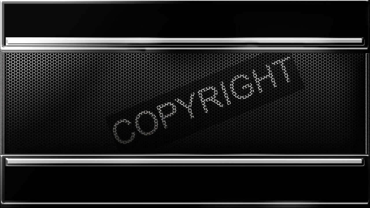 Copyright Infringement Under the Microscope: What You Need to Know. Solange Isaacs©.