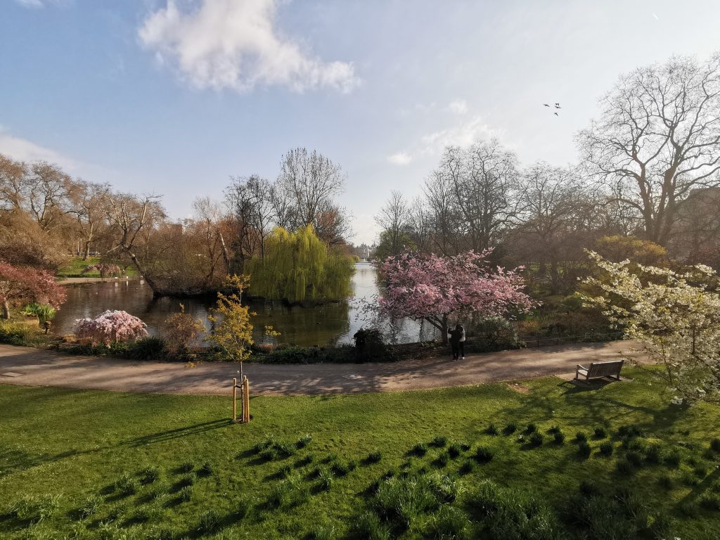 Discovering Tranquility: A Stroll Through St. James's Park. Solange Isaacs.